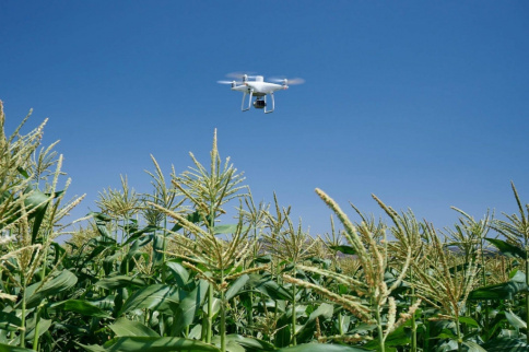 DJI P4 Multispectral фото 7