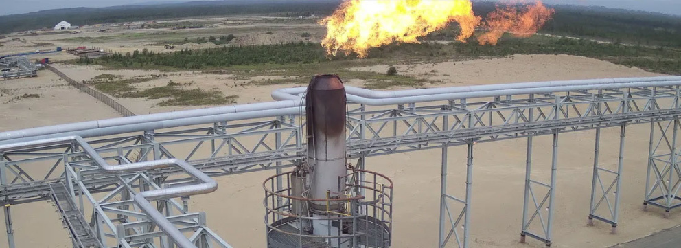 Тепловизионный мониторинг