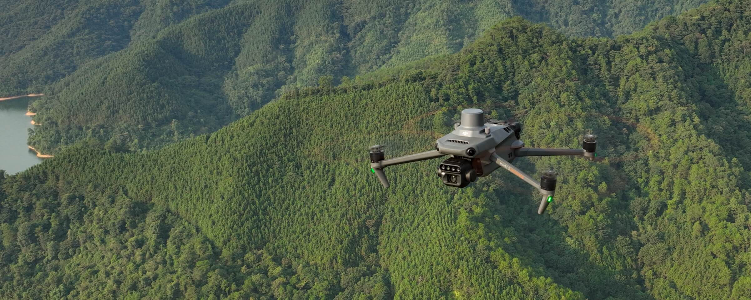 Исследование лесонасаждений