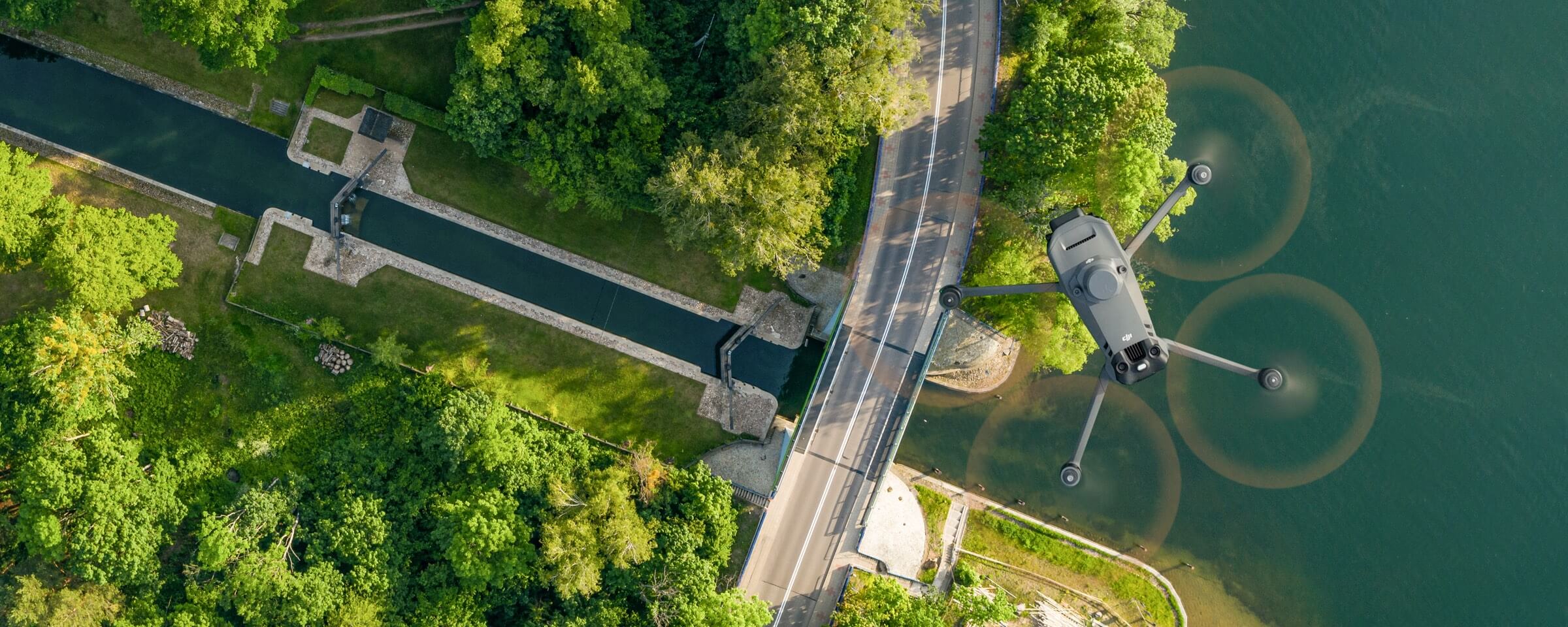 Растительный покров городов