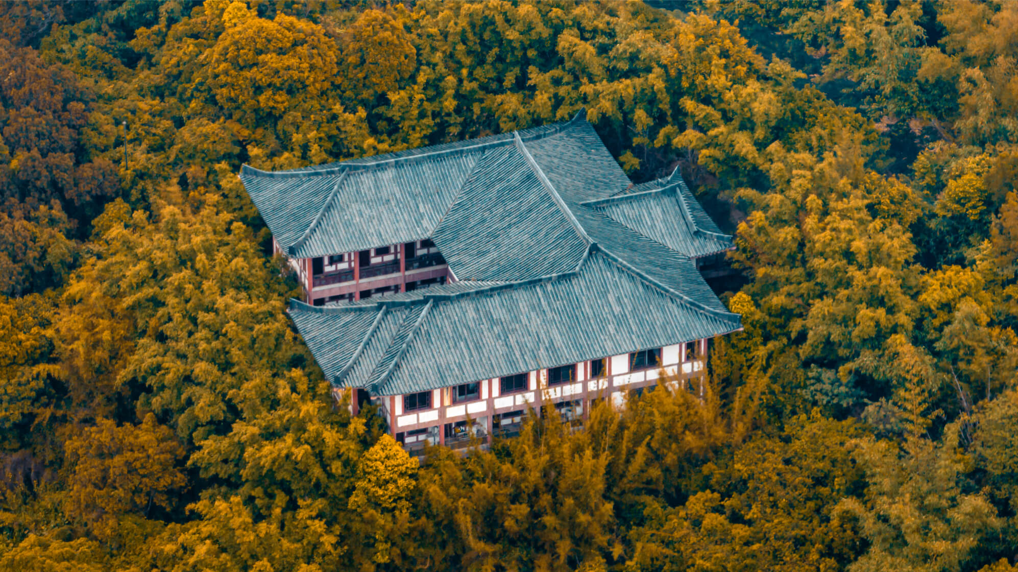 Режим Pro телекамеры