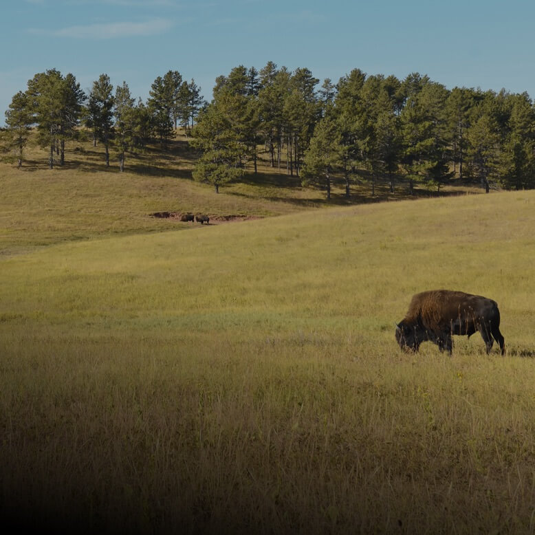 Защита окружающей среды