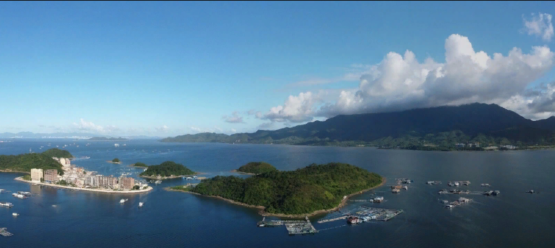 Широкий угол