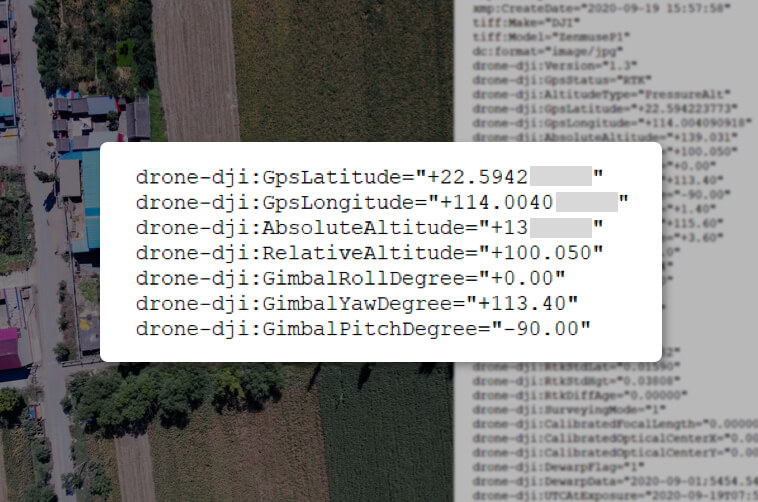 Метаданные изображения содержат внутренние и внешние параметры камеры и статус RTK.
