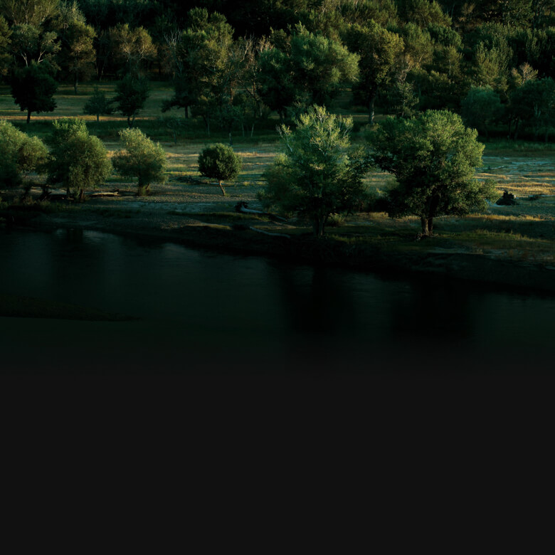 Управление природными ресурсами